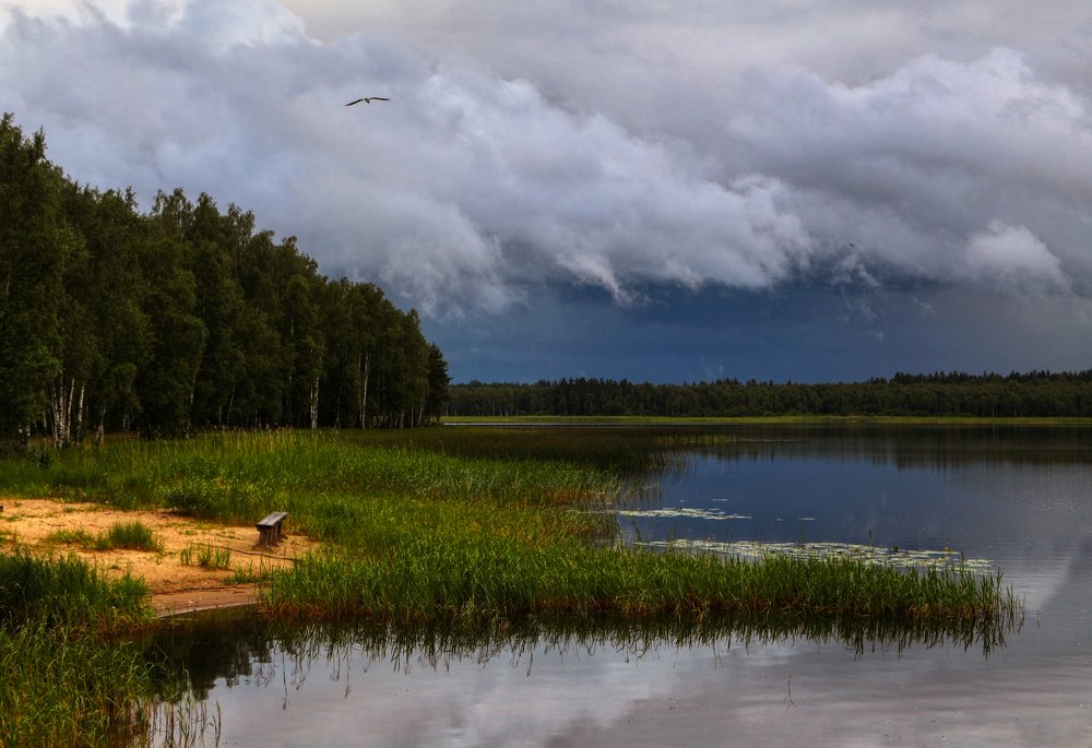 Photograph by Светлана Воскресенская