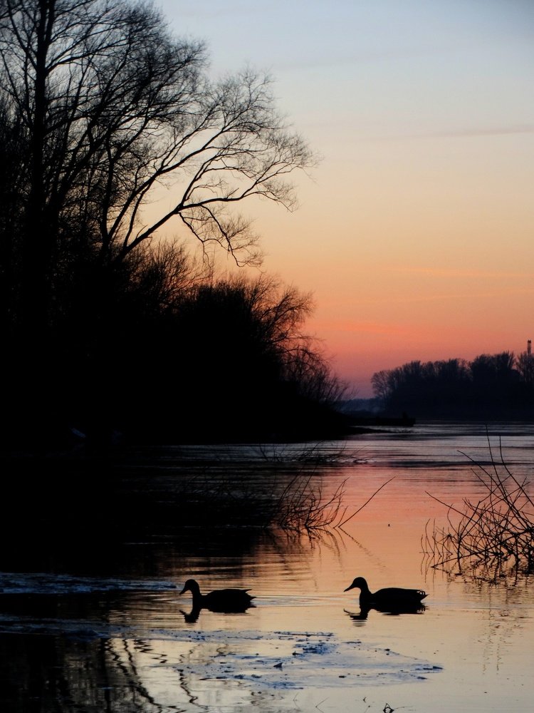 Photograph by Ангелина Соколова