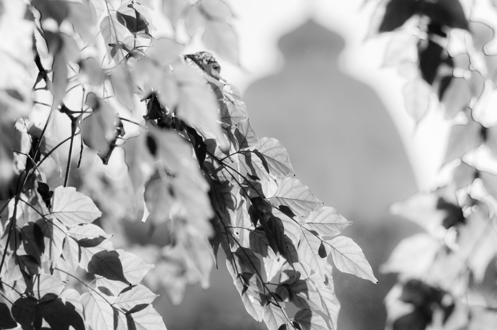 A silhouette of a temple