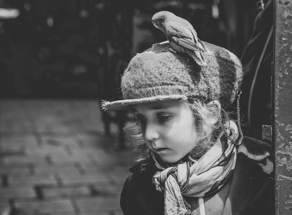 Photograph by Andrea Muscatello