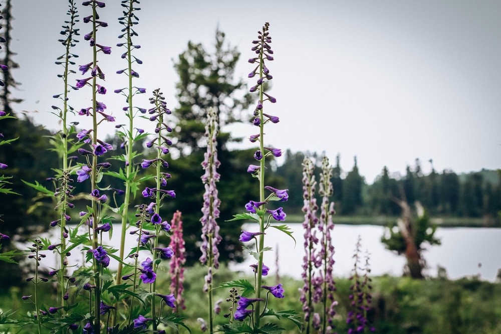 Photograph by Ольга Зайцева