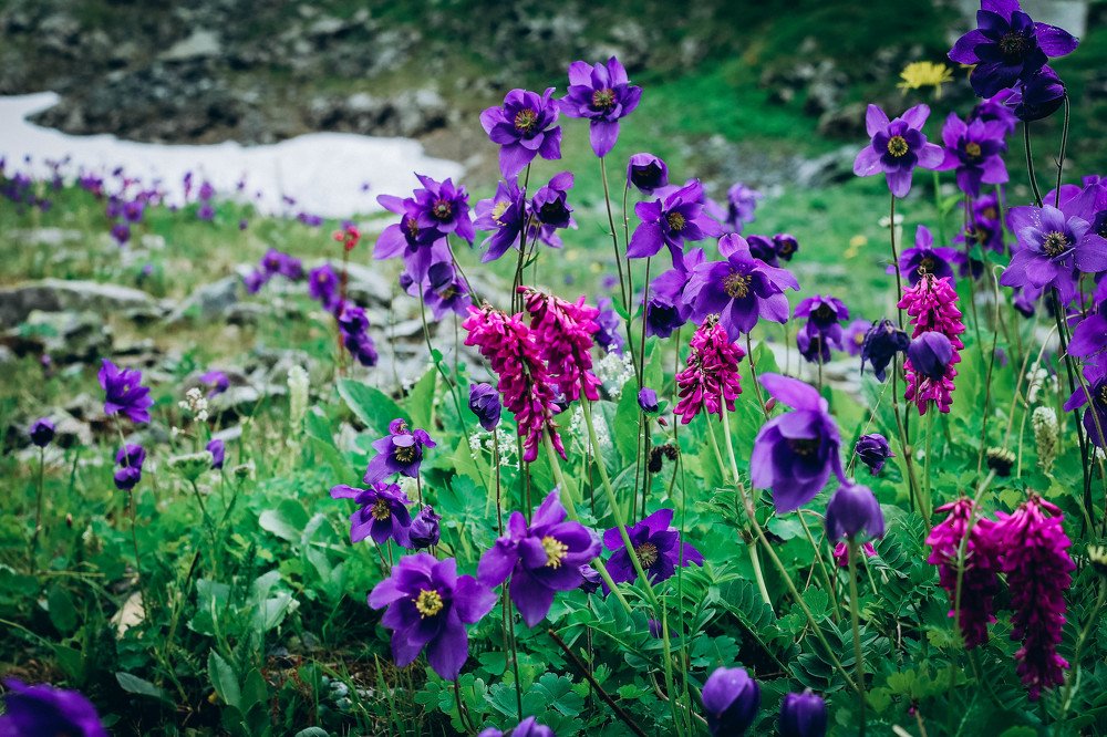 Photograph by Ольга Зайцева