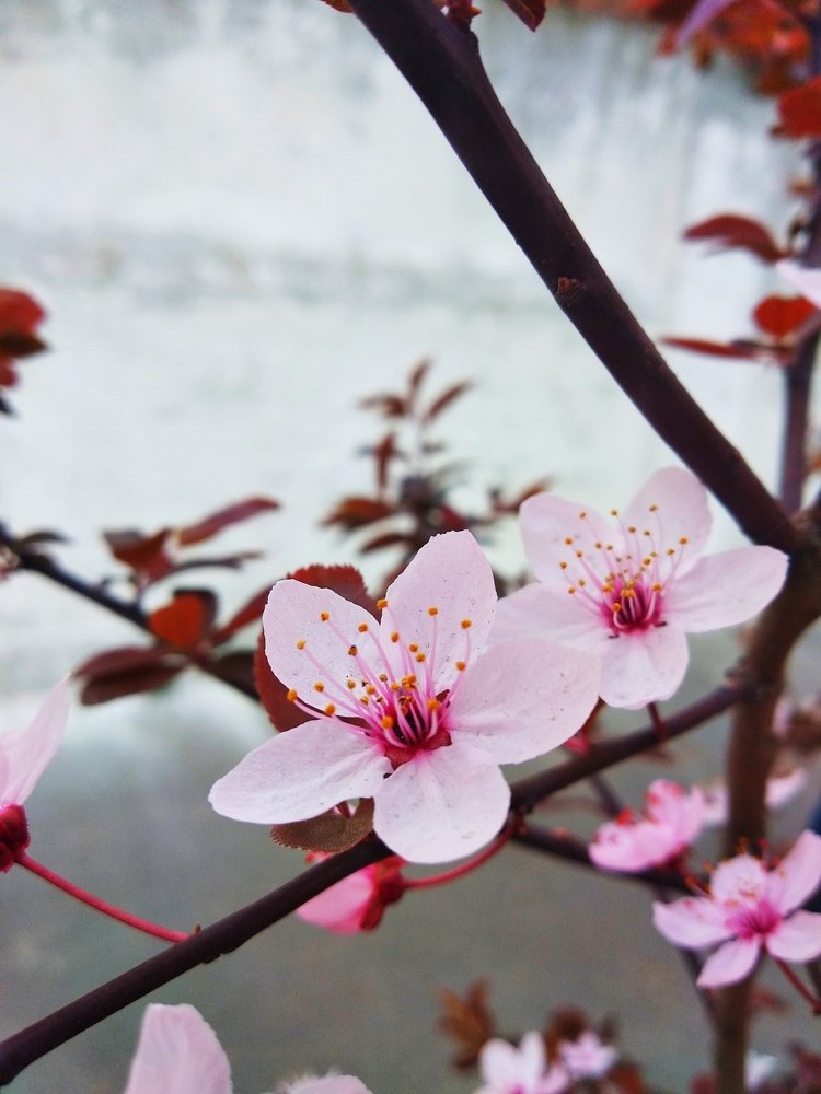 Photograph by Регина Орехова