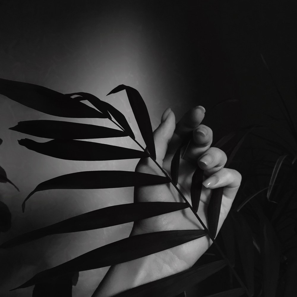 Photograph by Юлія Доманська