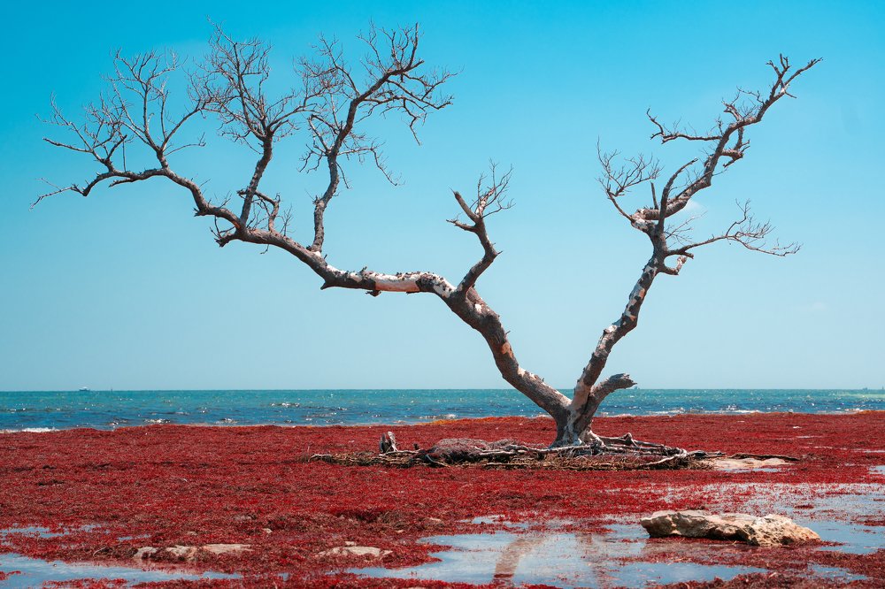 Photograph by David James