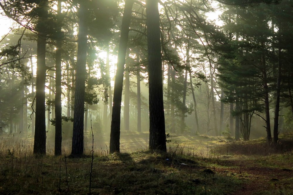 Фотография автора Ольга Завадилика