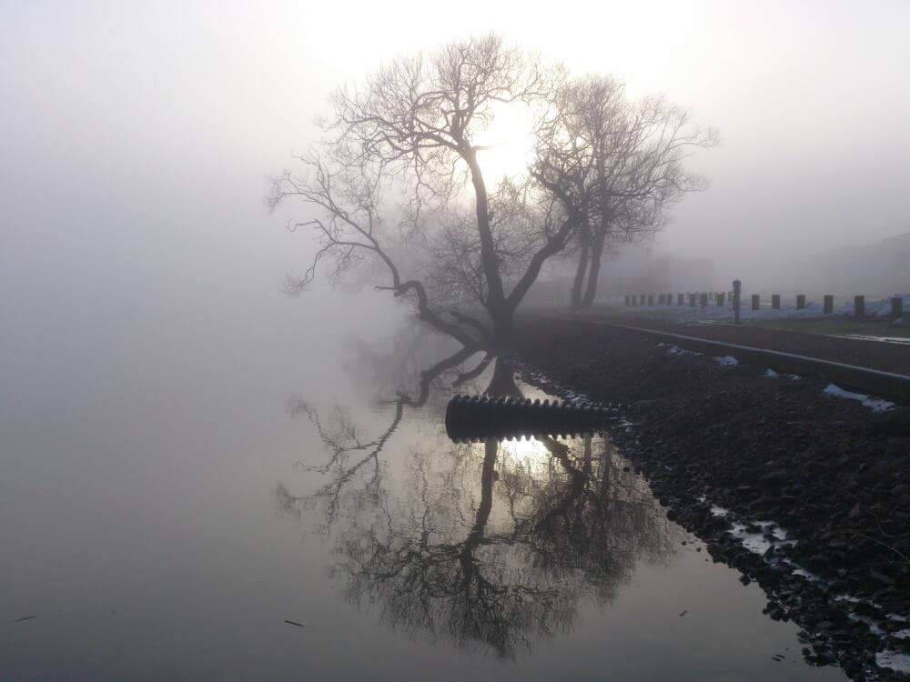 Photograph by Vlada Nesterova