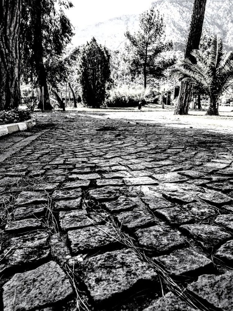 Photograph by Сергей Воронин