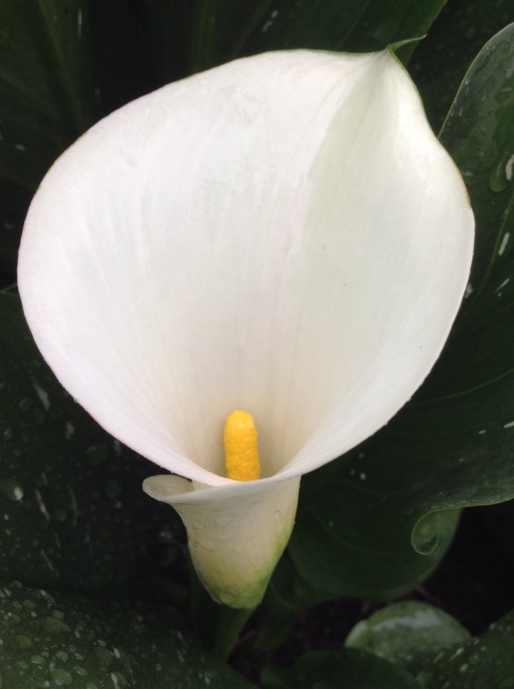 Photograph by Осипова Карина Александровна