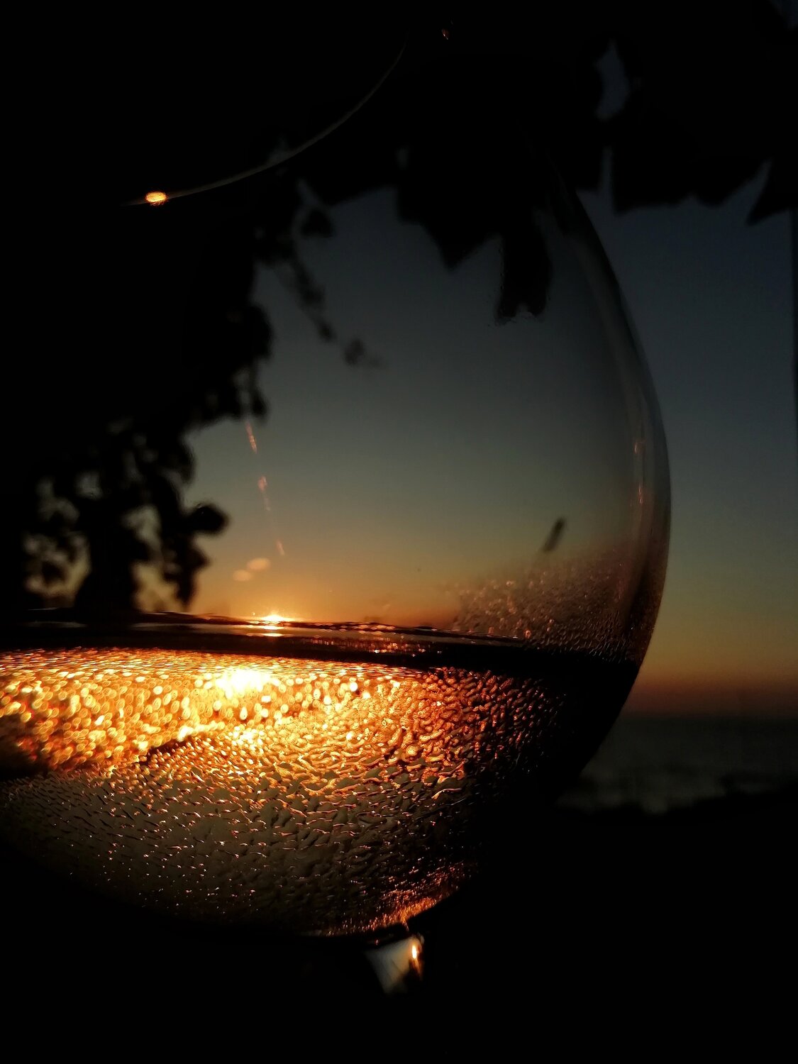 Photo #4507255