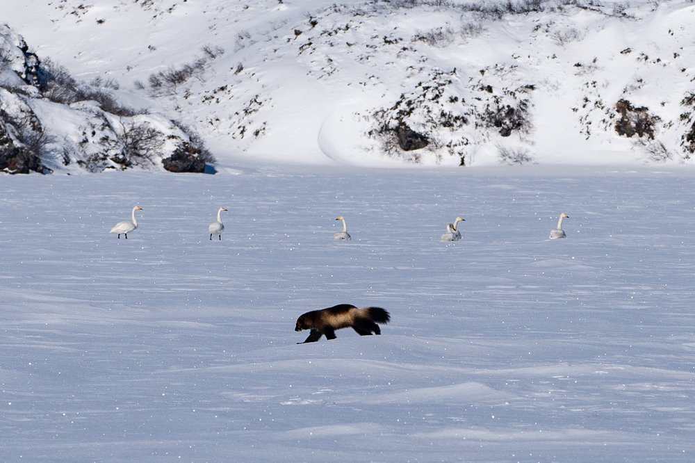 Photograph by Нина Ким