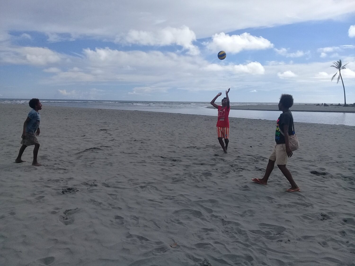 Photo #4507441