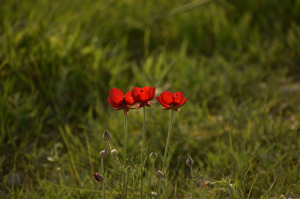 Photograph by Aleksandra Shchukina