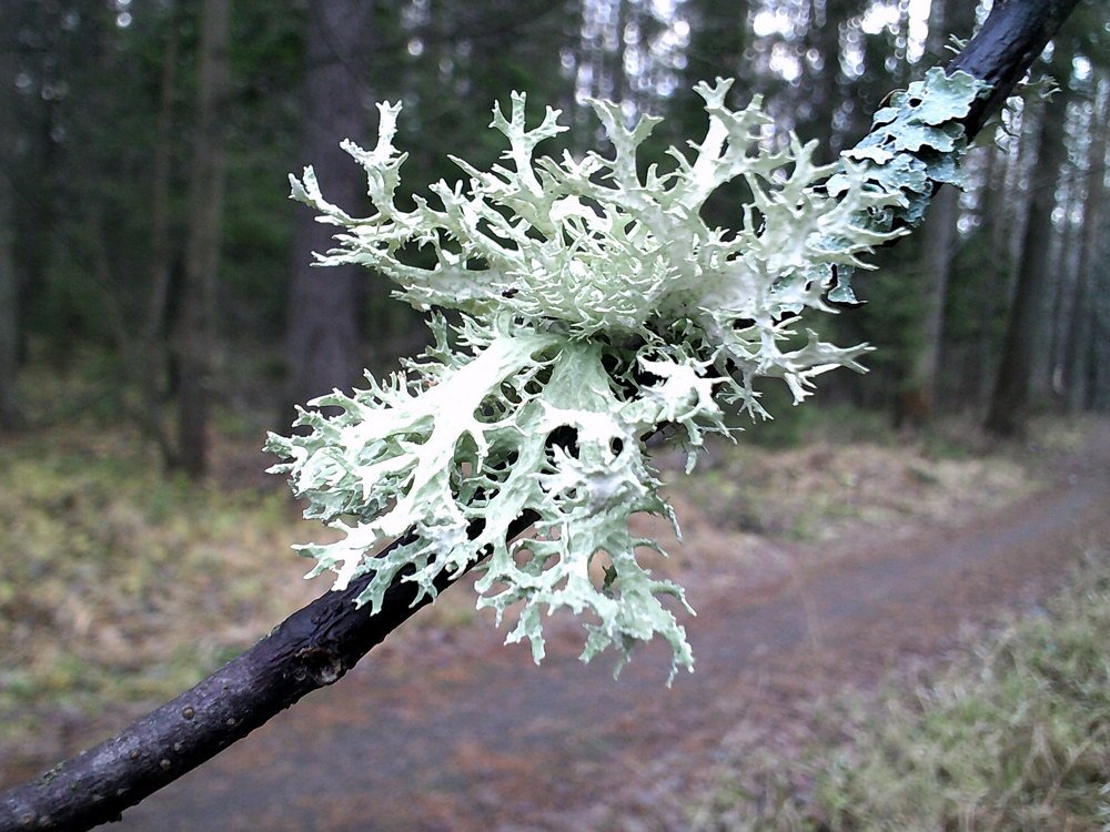 Photograph by Наталья Черепанова