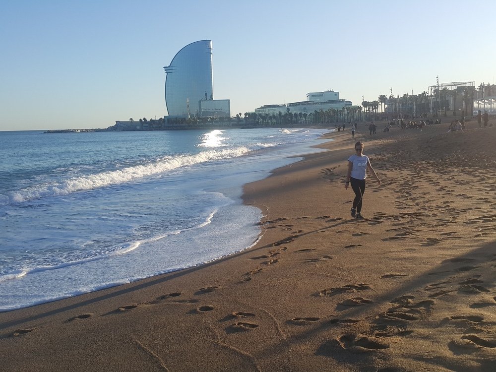 Photo #4507588