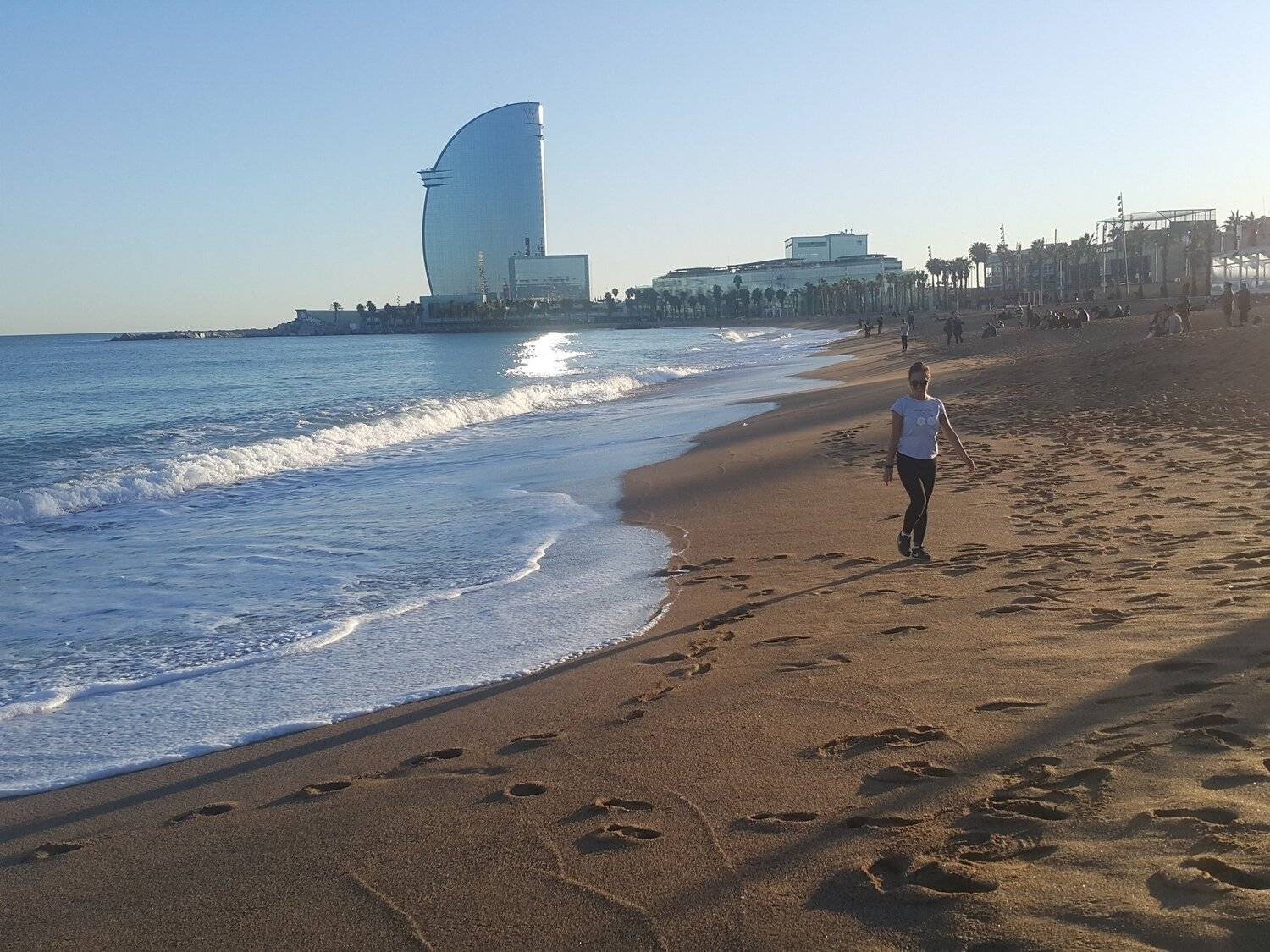 Photo #4507588