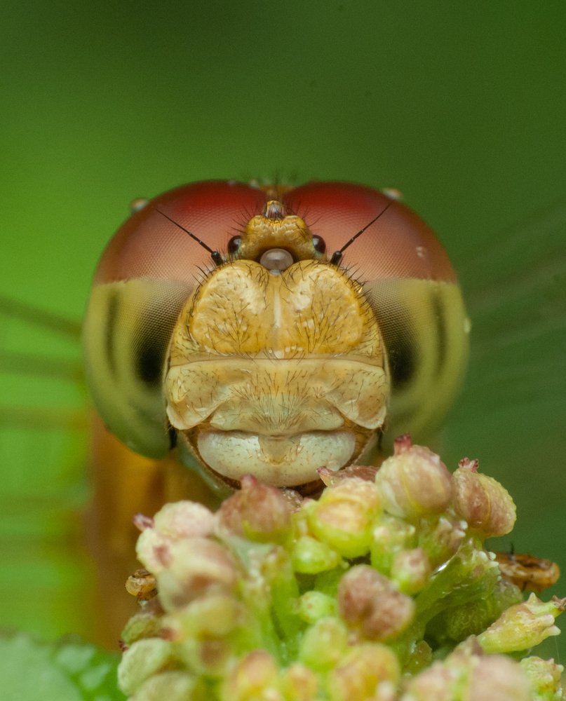 Photograph by Yusak priyanto