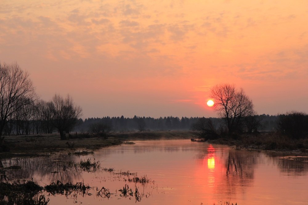 Фотография автора Ирина Солонина