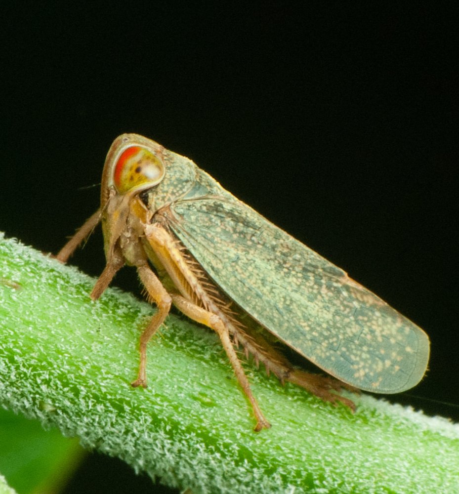 Photograph by Yusak priyanto