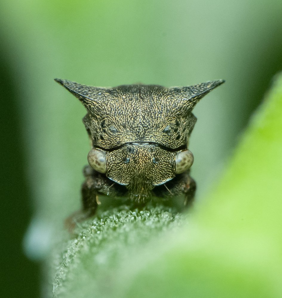 Photograph by Yusak priyanto