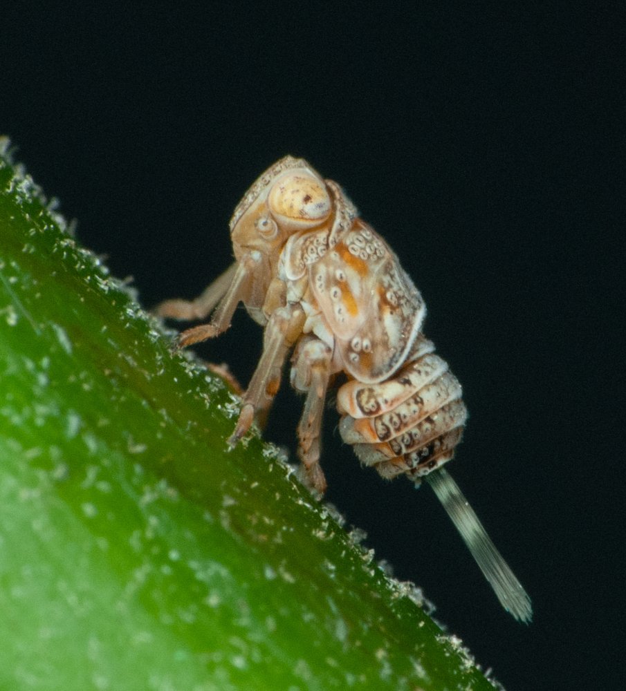 Photograph by Yusak priyanto