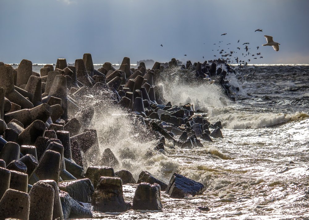 Photograph by Kristine Locika