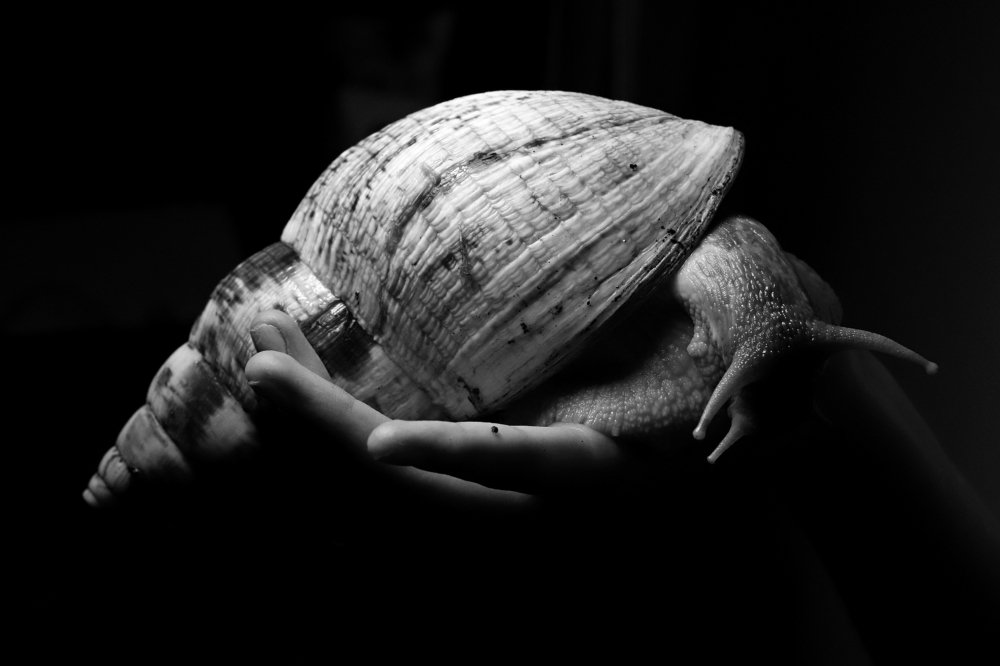 Photograph by Мария Астахова