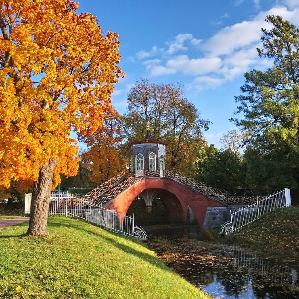 Золотая осень в Александровском парке.