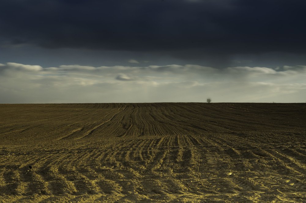 Photograph by Agnieszka Szadowiak