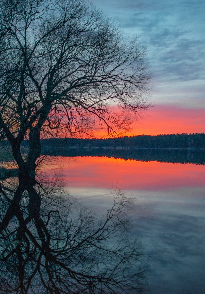 Photograph by Сергей Басов