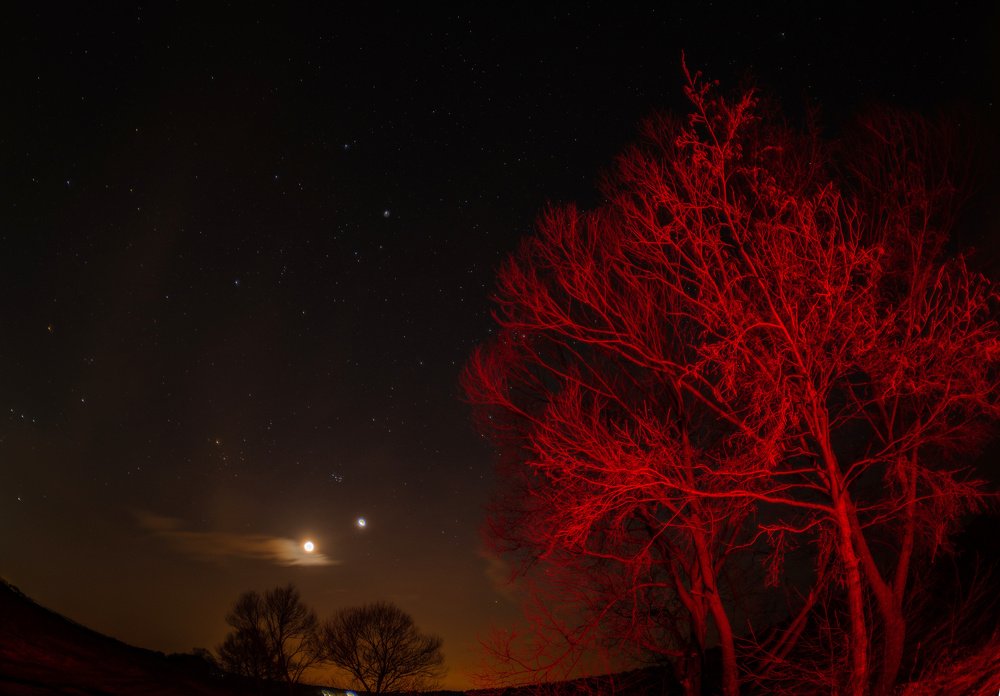 Photograph by Сергей Басов