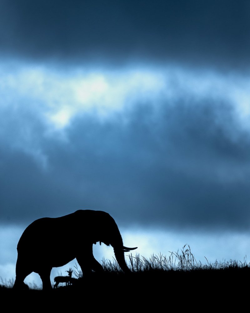 Photograph by Ramachandiran Govindaraj