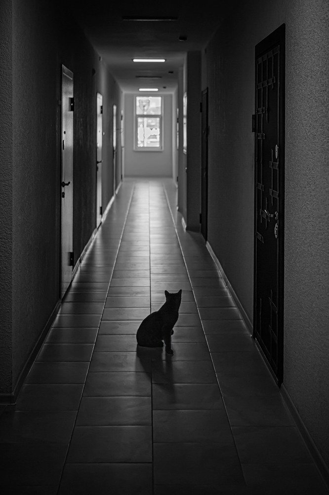 Photograph by Анастасия Казанцева