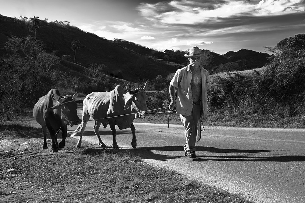 Photograph by rolando li lozano