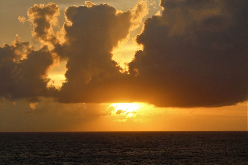 Фотография автора OSMIR ZANETTE