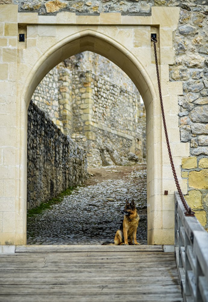 Photograph by Luka Mitrovic