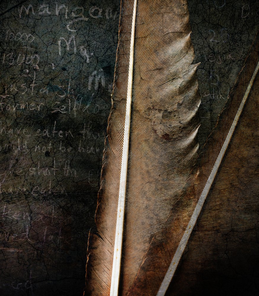 Photograph by urs renggli