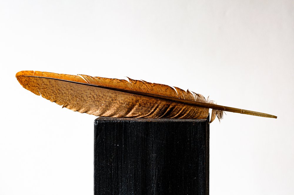 Photograph by urs renggli