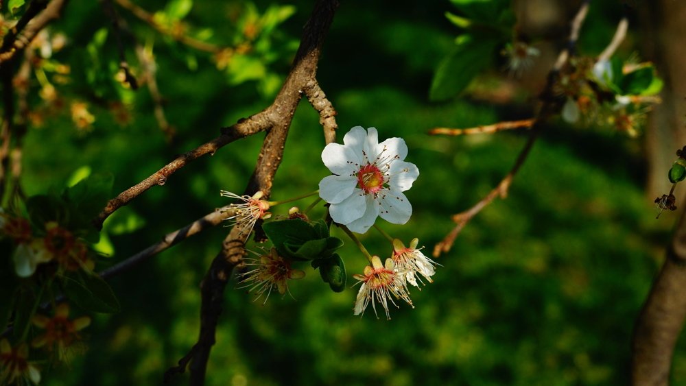 Photograph by Mirela Velicu