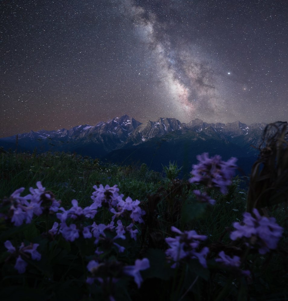 Photograph by Сергей Шабанов