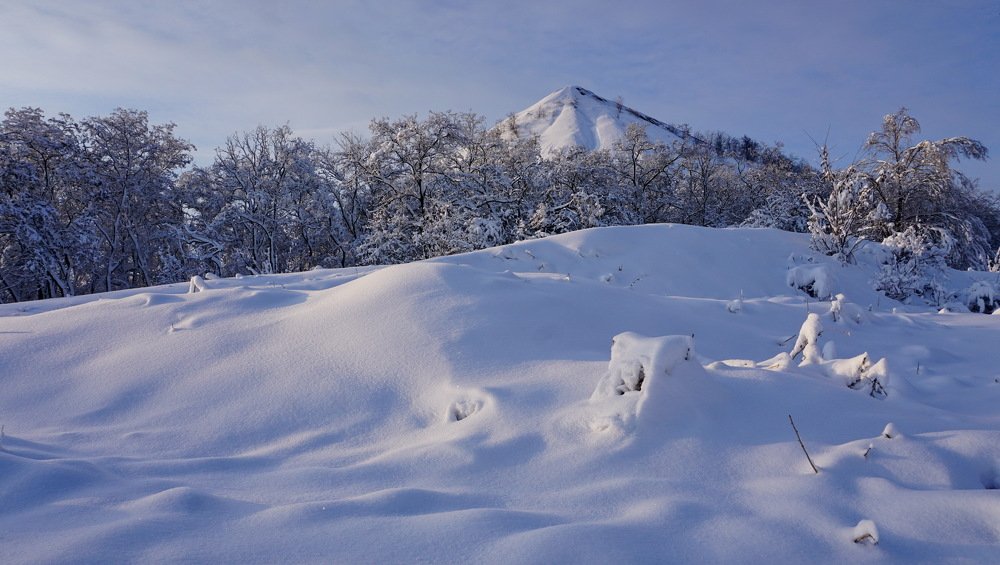 Египет отдыхает в Донецке