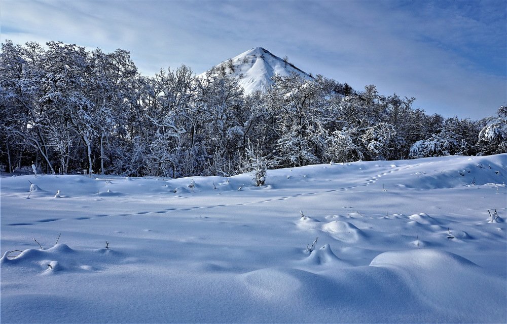 Photograph by Nikolay Cklyr