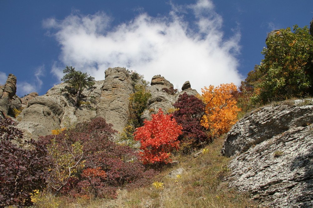 осенняя палитра