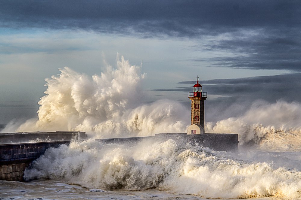 Photograph by Narciso Antonio Sousa Rocha