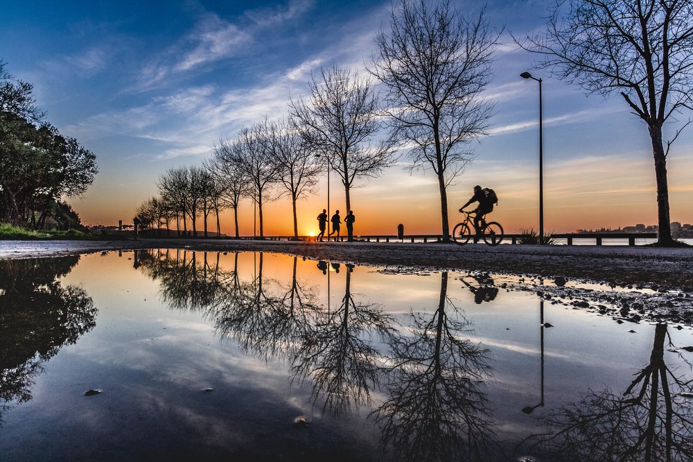 Photograph by Narciso Antonio Sousa Rocha