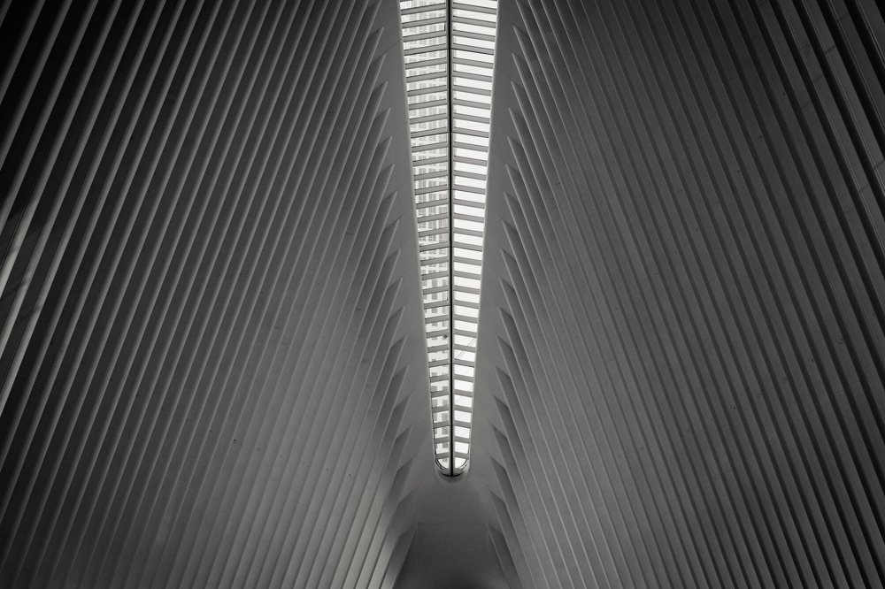 Photograph by Florencia Gehrung