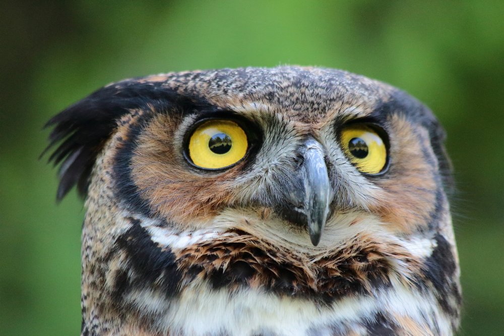 Photograph by Mauro Horta