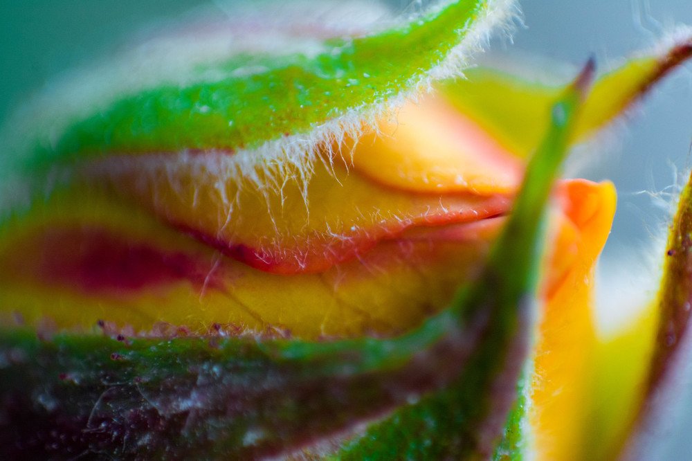 Photograph by LauryAracelly