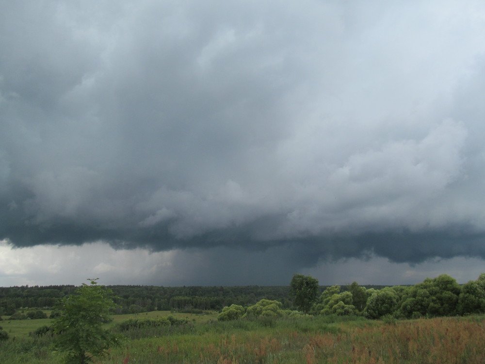 Photograph by сергей павлов