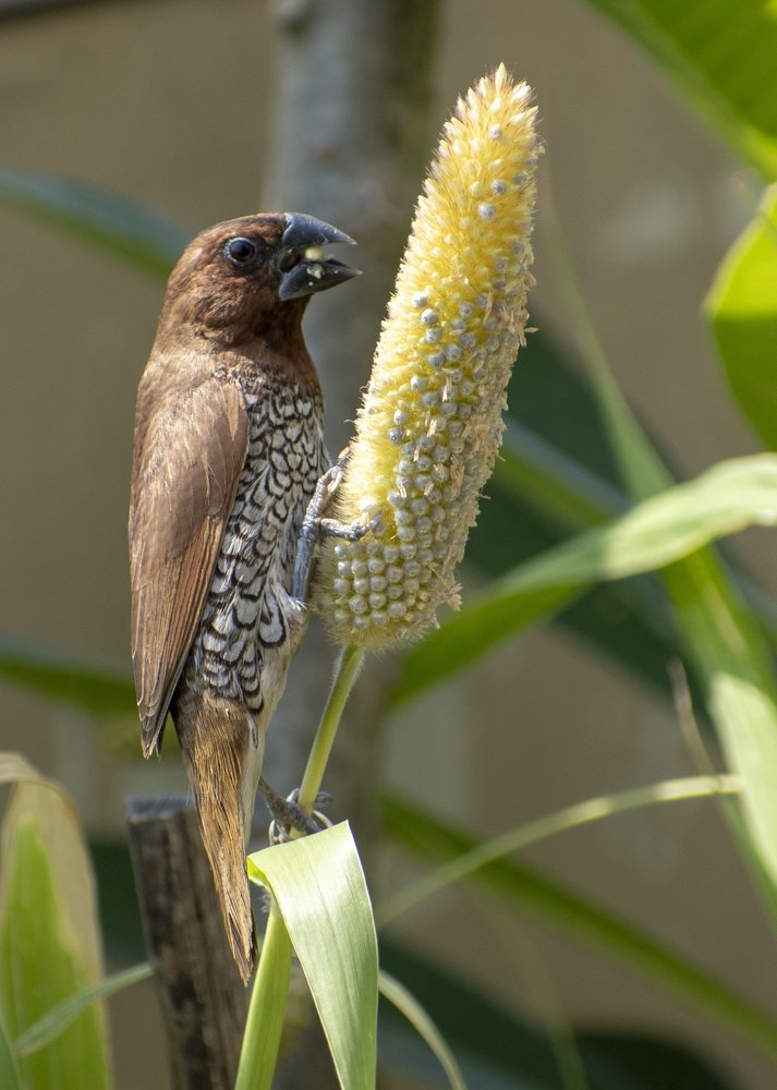 Photograph by Preet saluja